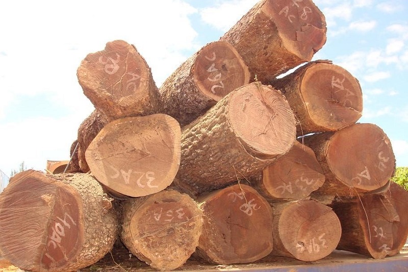 Đặc tính của gỗ tự nhiên là gì?