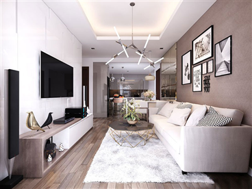 Thiết kế nội thất chung cư 60m2 cuốn hút với phong cách Bắc Âu