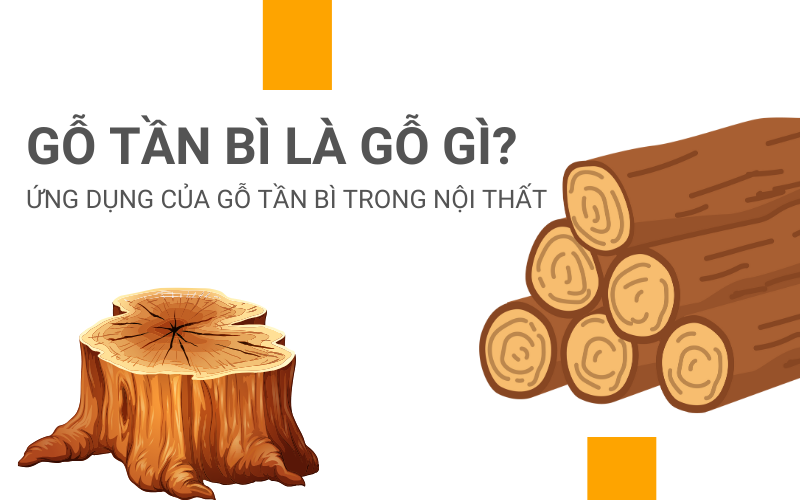 gỗ tần bì là gỗ gì