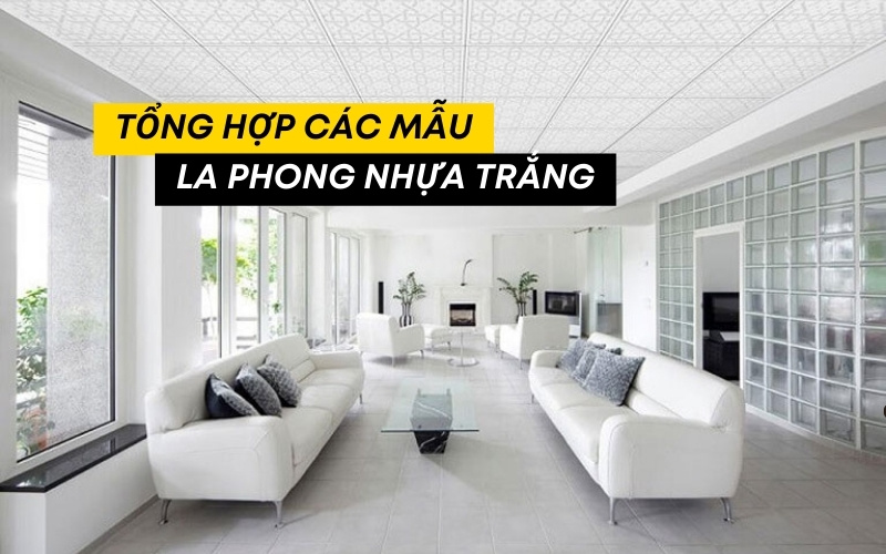 la phong nhựa trắng