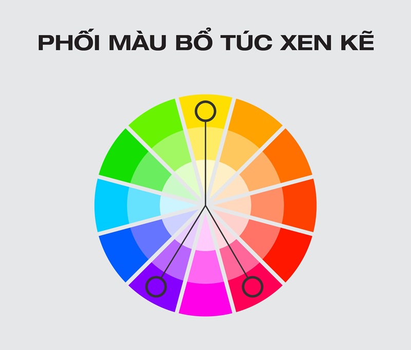 phối màu bổ túc xen kẽ