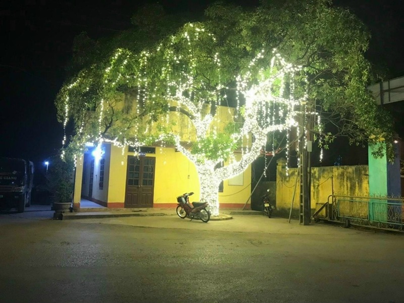 đèn led trang trí tết
