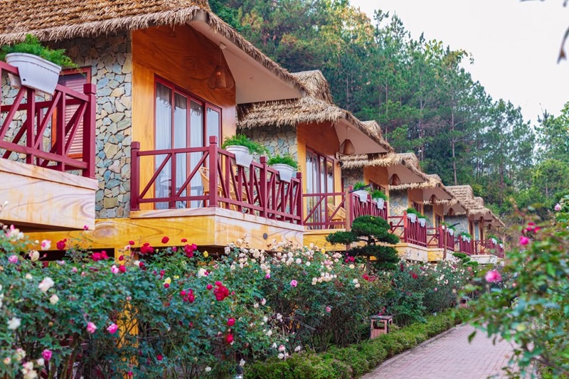 thời gian làm homestay