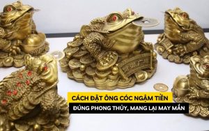 cách đặt ông cóc ngậm tiền