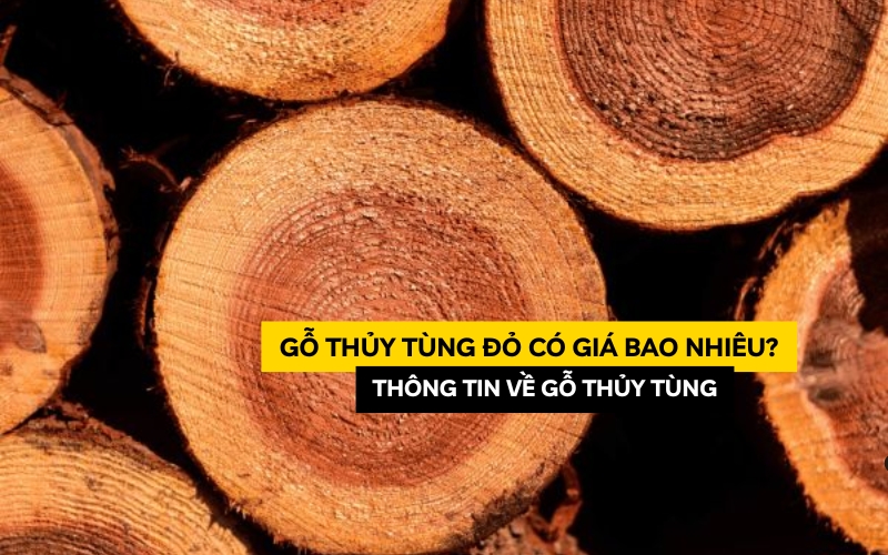 gỗ thủy tùng đỏ có giá bao nhiêu