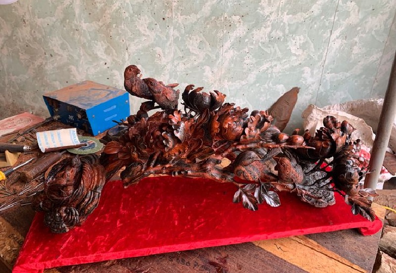 giá trị gỗ thủy tùng