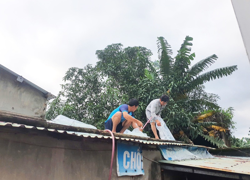 Tăng khả năng thoát nước và chống ngập