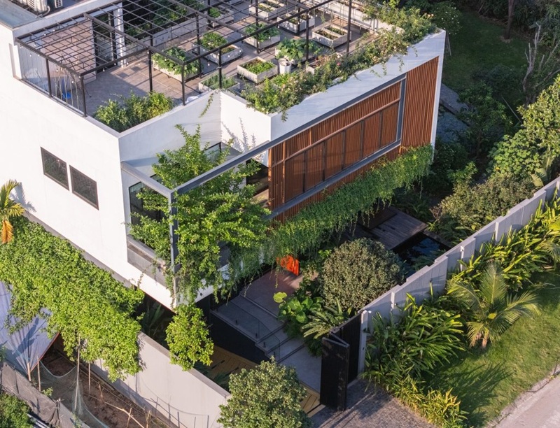 đất vong người tàu